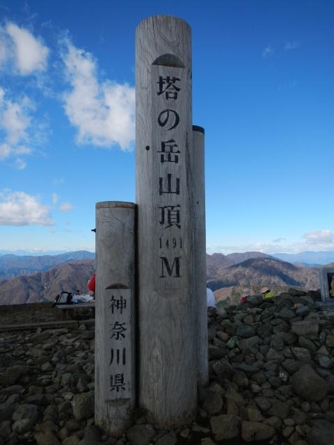 塔ノ岳の山頂。富士山、相模湾、都心が一望できました。